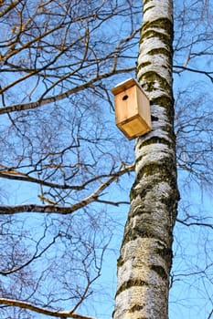 Birdhouse hanging on the trunk of a birch. Bright frosty winter day