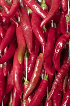 stack of chillies at the Funchal's Farmers Market