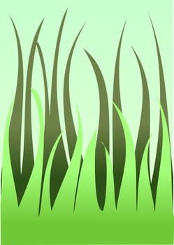 Illustration of two layers of grass on a light green background.