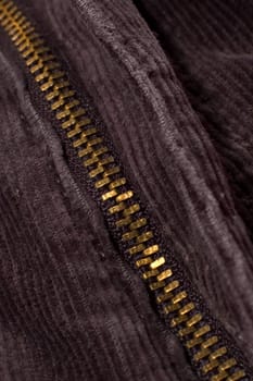 golden zipper on black jeans, detail photo