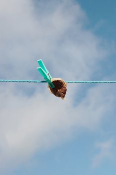 a teabag on a washing line for reuse during difficult times