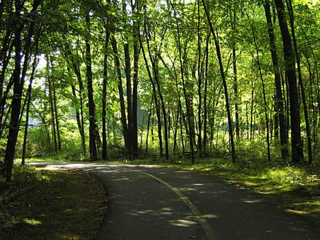 A photograph of a quiet walking trail.