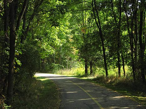 A photograph of a quiet walking trail.
