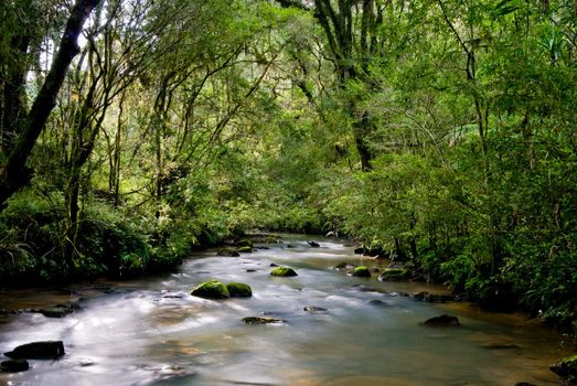 River with rocks and moss in the Brazilian Atlantic rainforest.