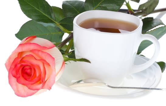 close-up rose and cup of tea, isolated on white