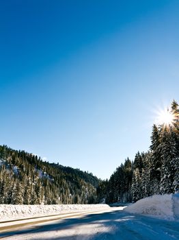 Road covered in snow surrounded by trees and has a little bit of sun flare.