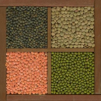 mung bean and lentils (red, green, French) in a rustic wooden box with diveiders