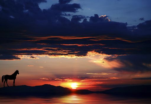 Silhouette of a horse next to a lake at either sunrise or sunset at Lake Tahoe in both Nevada and California