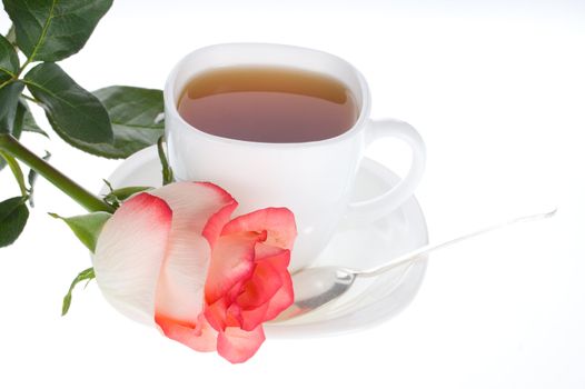 close-up rose and cup of tea, isolated on white
