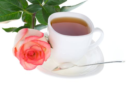 rose and cup of tea, isolated on white