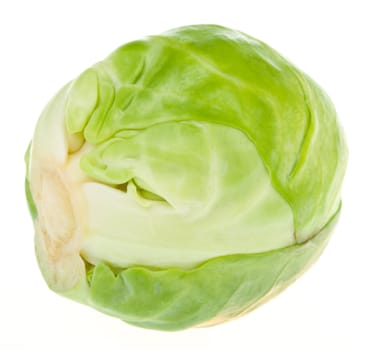 close-up single brussels sprout, isolated on white