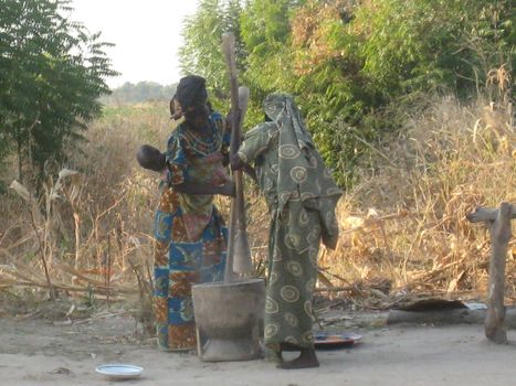 african women crushing floor in a mortar in north Cameroon