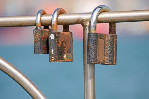 Three trapped metal and old rusty lock hang.