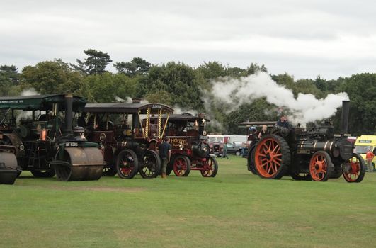 large traction steam engines at a steam rally