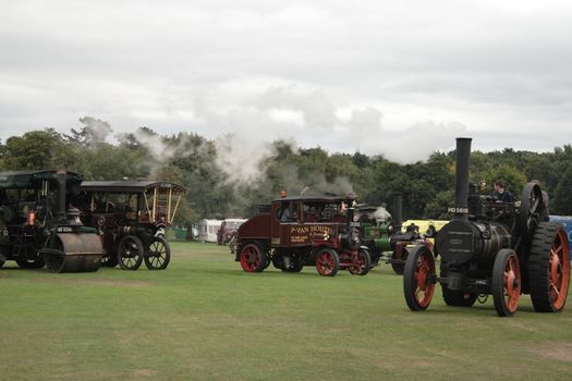 large traction steam engines at a steam rally