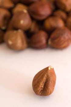 Filbert nuts on white background, distance blur, only one nut in focus