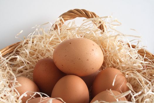 clutch of eggs in a basket filled with shavings