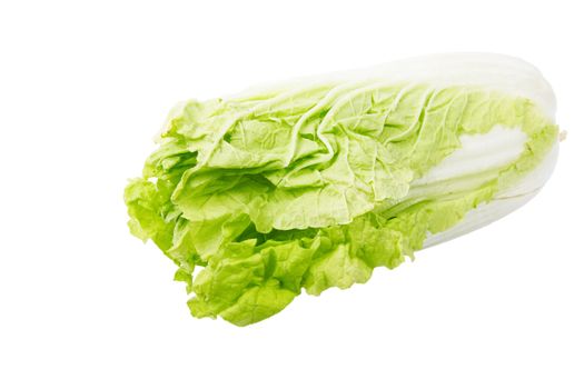 Napa cabbage, isolated on the white background