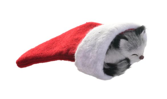 Christmas stocking with a gray kitten isolated on white background