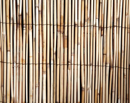 Light bamboo or rush textured background, digital image