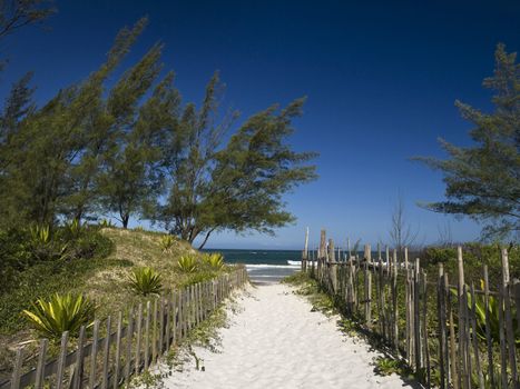 A sand path to the beach. Great cloudless blue sky.