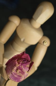 wooden figure holding a dry purple rose, dark background