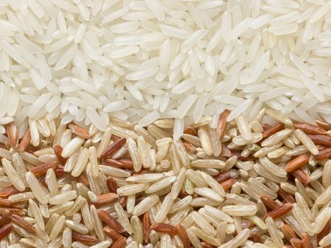 close up of a heap of polished and unpolished rice
