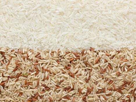 close up of a heap of polished and unpolished rice