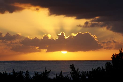 Rays Behind Cloud at Ocean Sunset with Vegetation Foreground