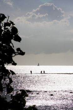 Reef Walkers and Ocean Sailing Below Ominous Clouds