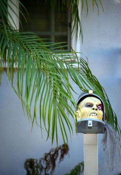 A Halloween head stuck in a mailbox