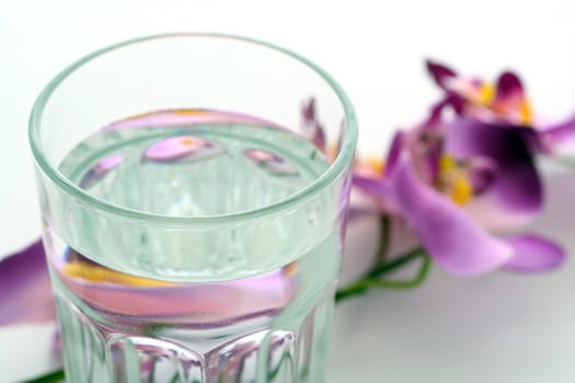 A glass of water and a flower