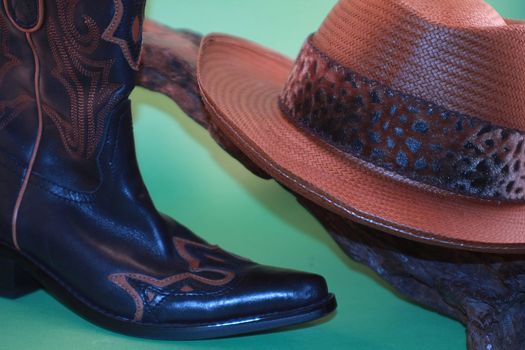 Brown and black cowboy hat and boots on a branch against a green background.