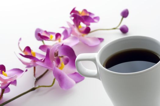 A cup of coffee and orchid