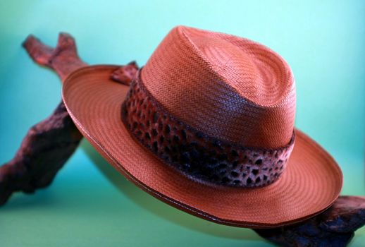 Brown and black cowboy hat leaning on a branch against a green background.