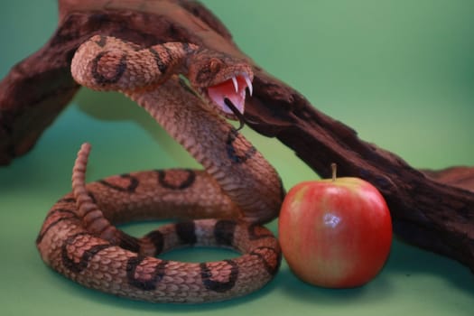 Snake and apple against green background symbolic of sin in the garden of Eden with Adam and Eve.