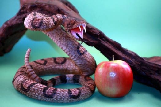 Snake with red apple next to branch against green background.
