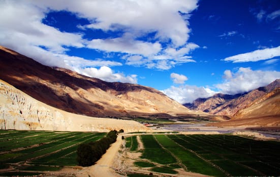 Landscape of fields and mountains in the highlands of Tibet