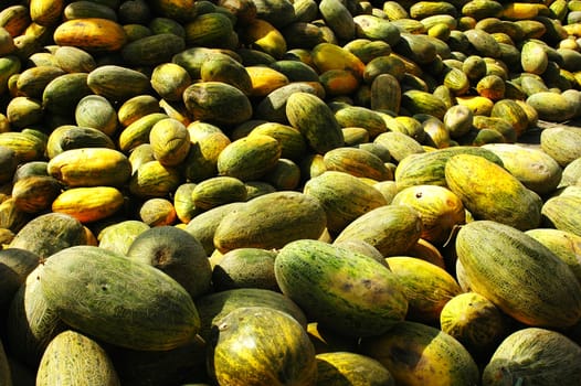 A pile of sweet melon in summer