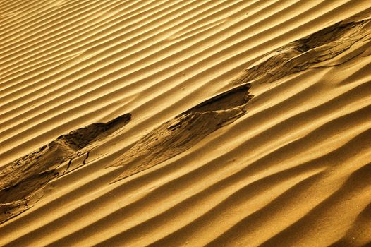 Scenery of desert textures in a sandhill