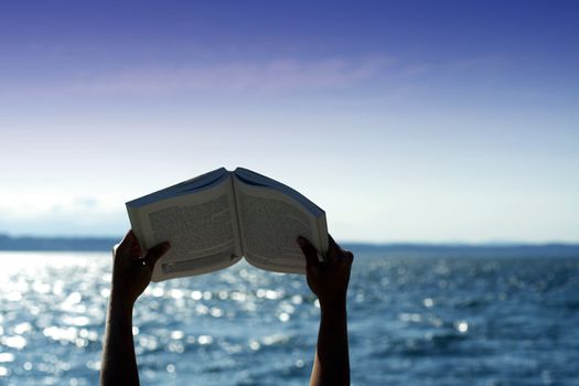 Relaxing by reading on the beach (silhouette)