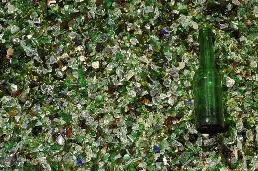 A solitary bottle has escaped the glass crushing process in a recycling facility