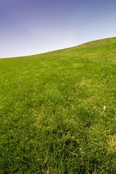 Background of blue sky and green grass