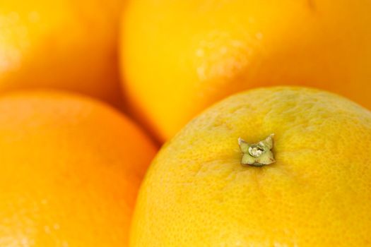 Close-up oranges