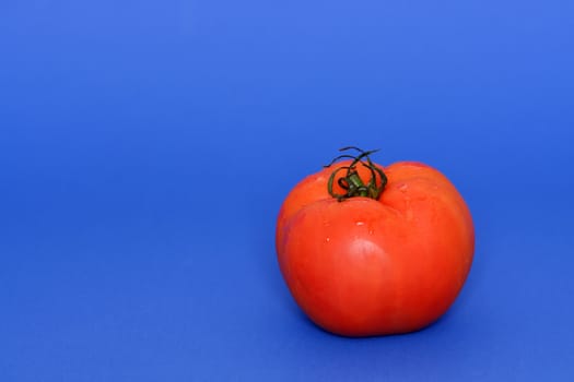 Tomato with blue background