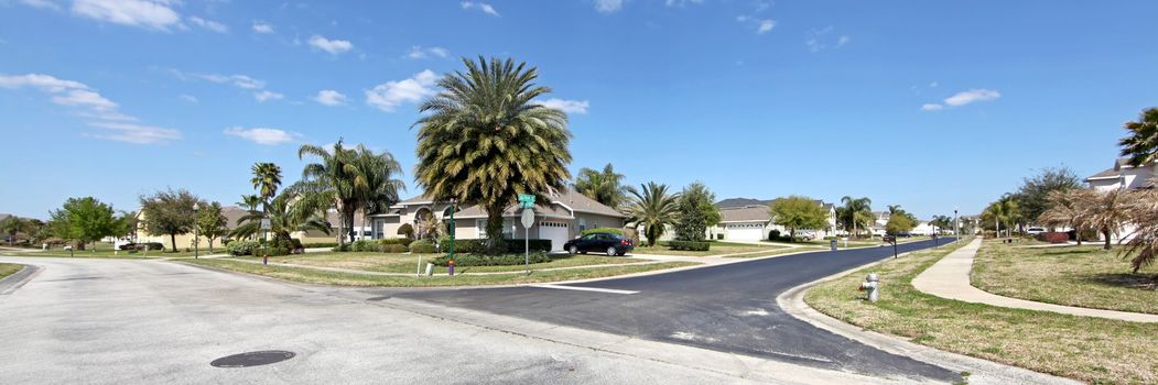 A View of an Estate in Florida