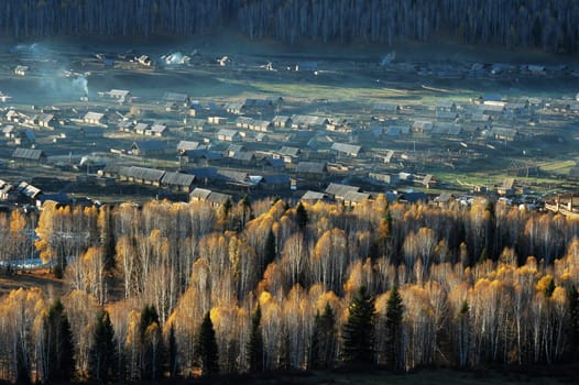 Landscape of a small village with woods in an autumn morning