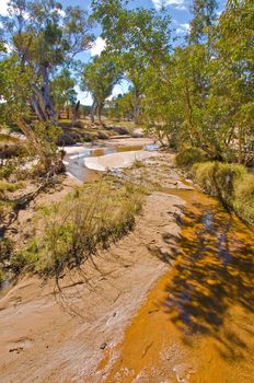 bush and road on the outback, northern territory australia