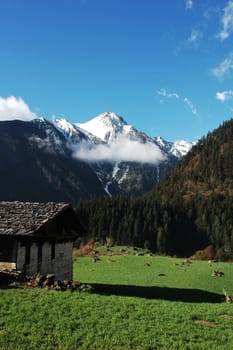 Landscape of snow mountains and green meadow in Shangrila China