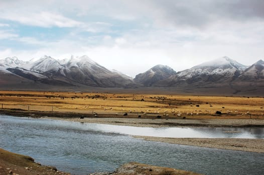 Landscape of snow mountains and stream in Tibet